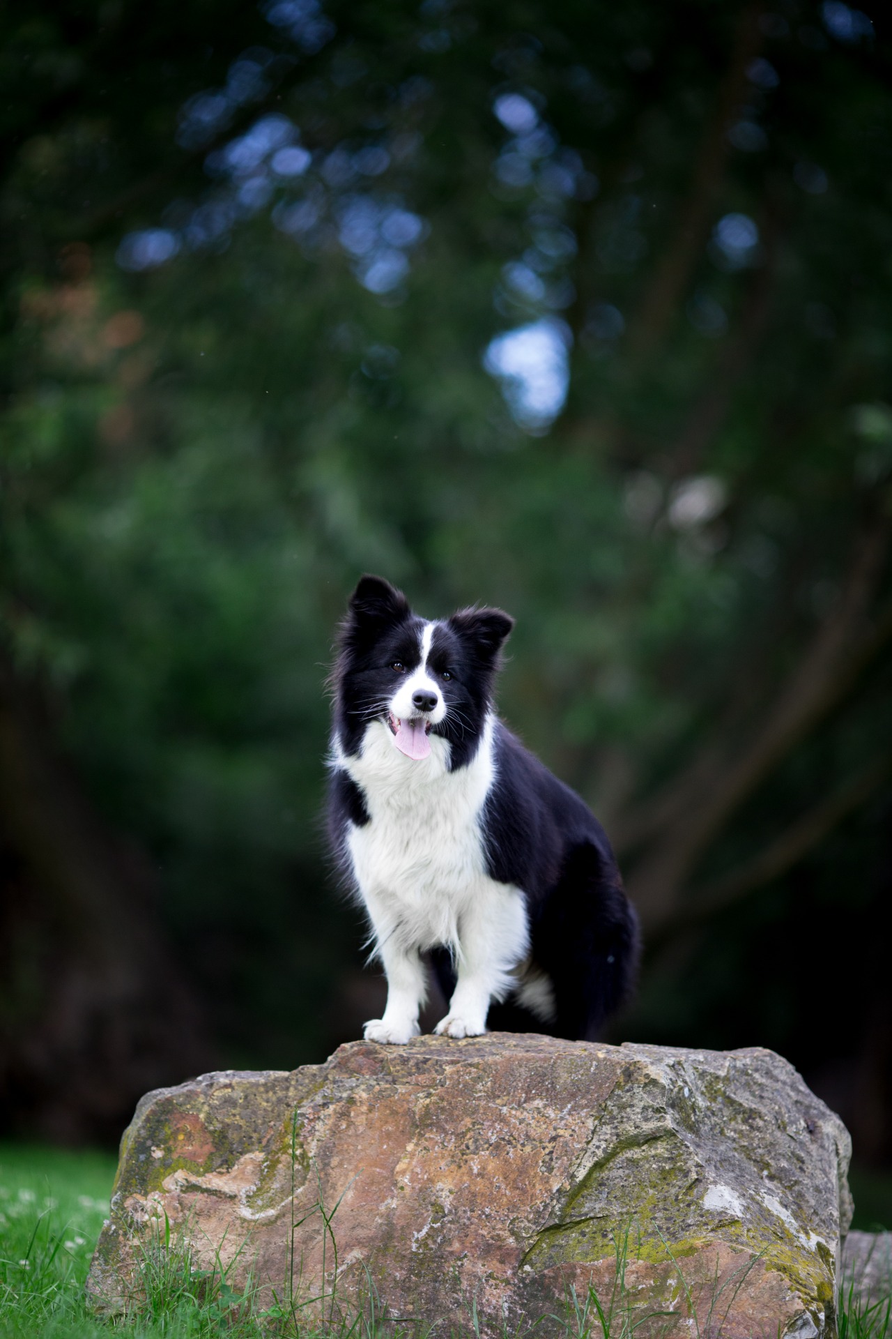 APRIL LOVE DYNASTIA PAULINO